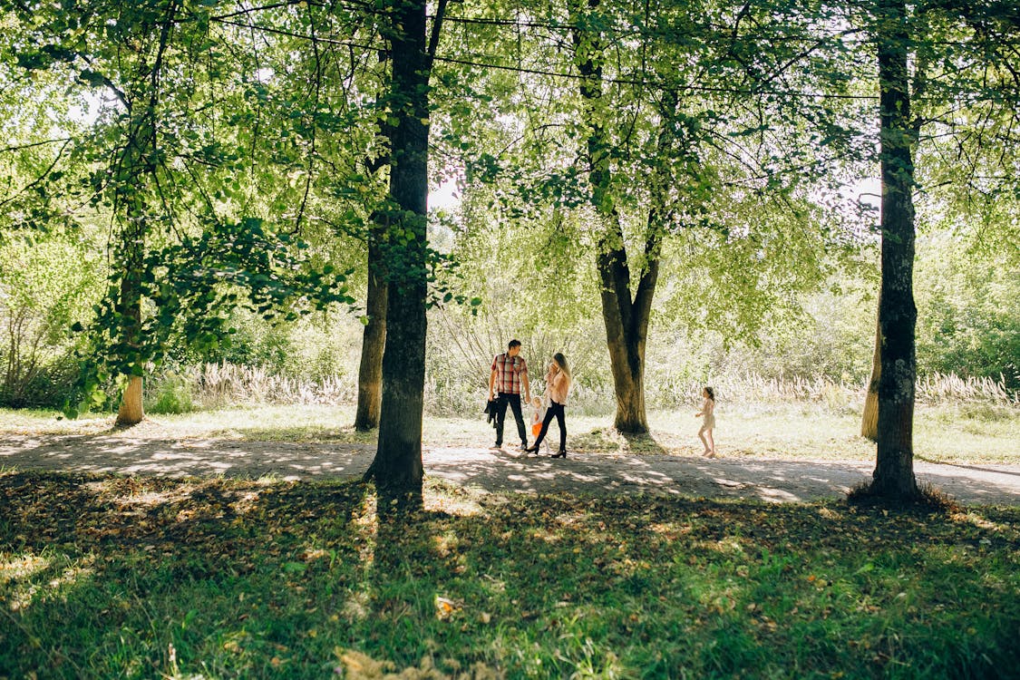 Free 2 Person Walking on Dirt Road Between Green Trees Stock Photo