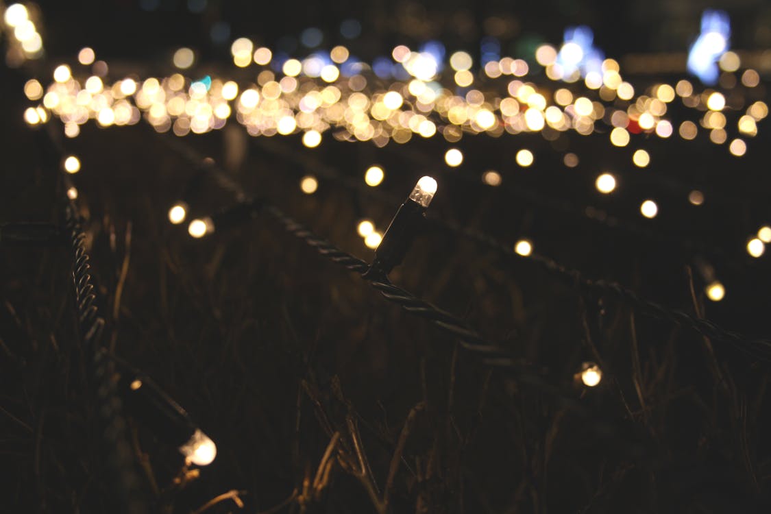 Free Lighted String Lights Stock Photo