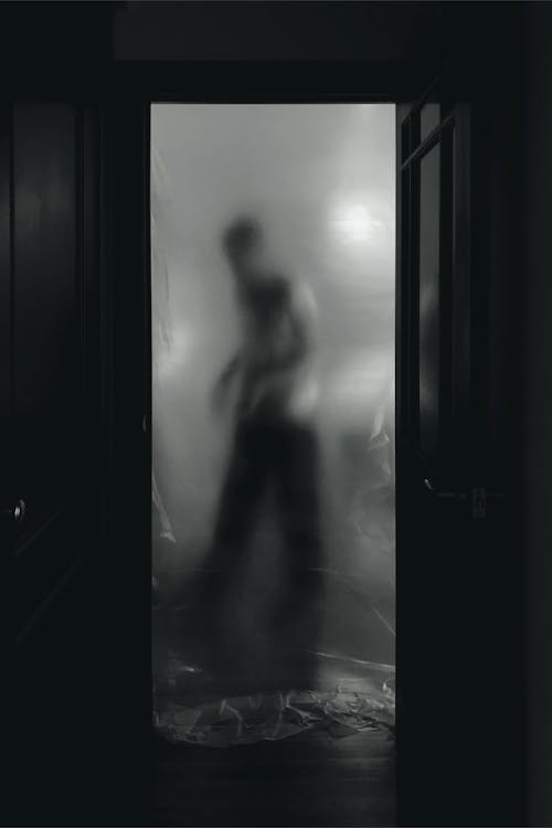 Základová fotografie zdarma na téma černý a bílý, duch, dveře