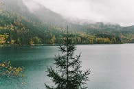 薄雾笼罩着森林，宁静的湖景捕捉了秋日之美