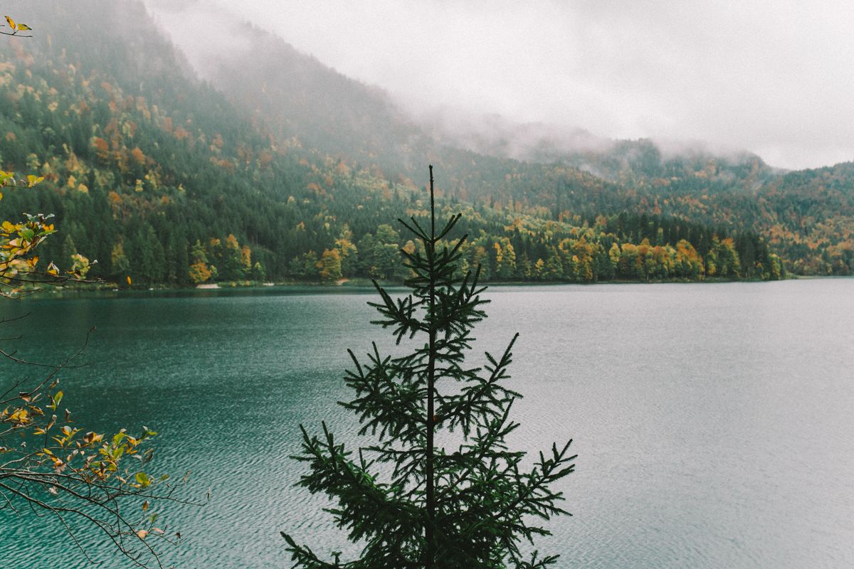 A still Jura lake reflecting spruce forest