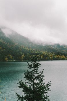 雾湖宁静的景色，被郁郁葱葱的针叶林和群山环绕