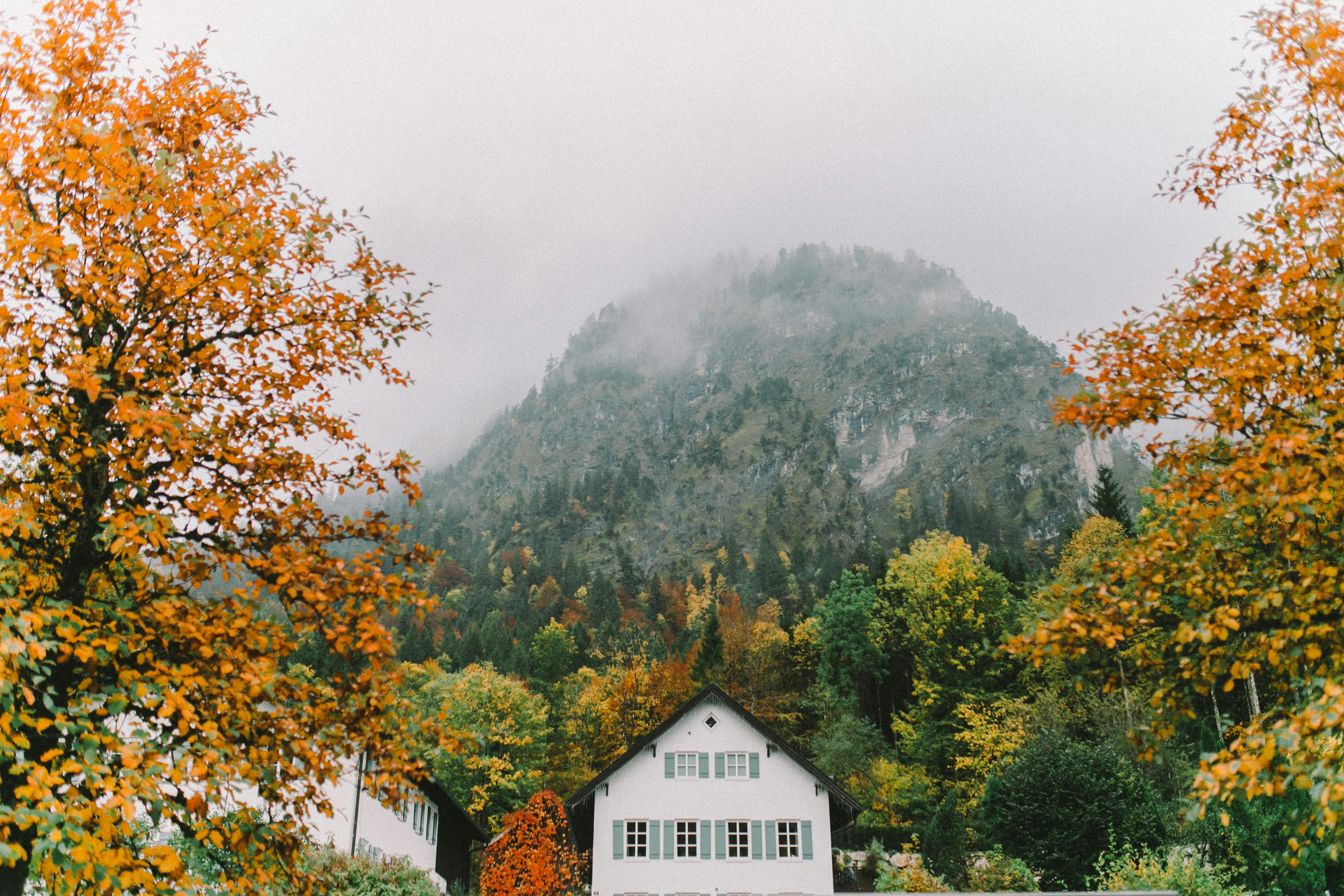 雾蒙蒙的山间背景下，风景如画的房屋与宁静的秋景相映成趣