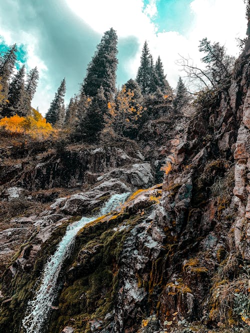 Free stock photo of creek, forest, mountains