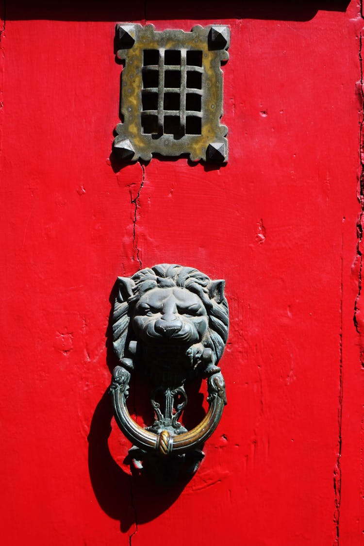 Brass Lion Door Knocker