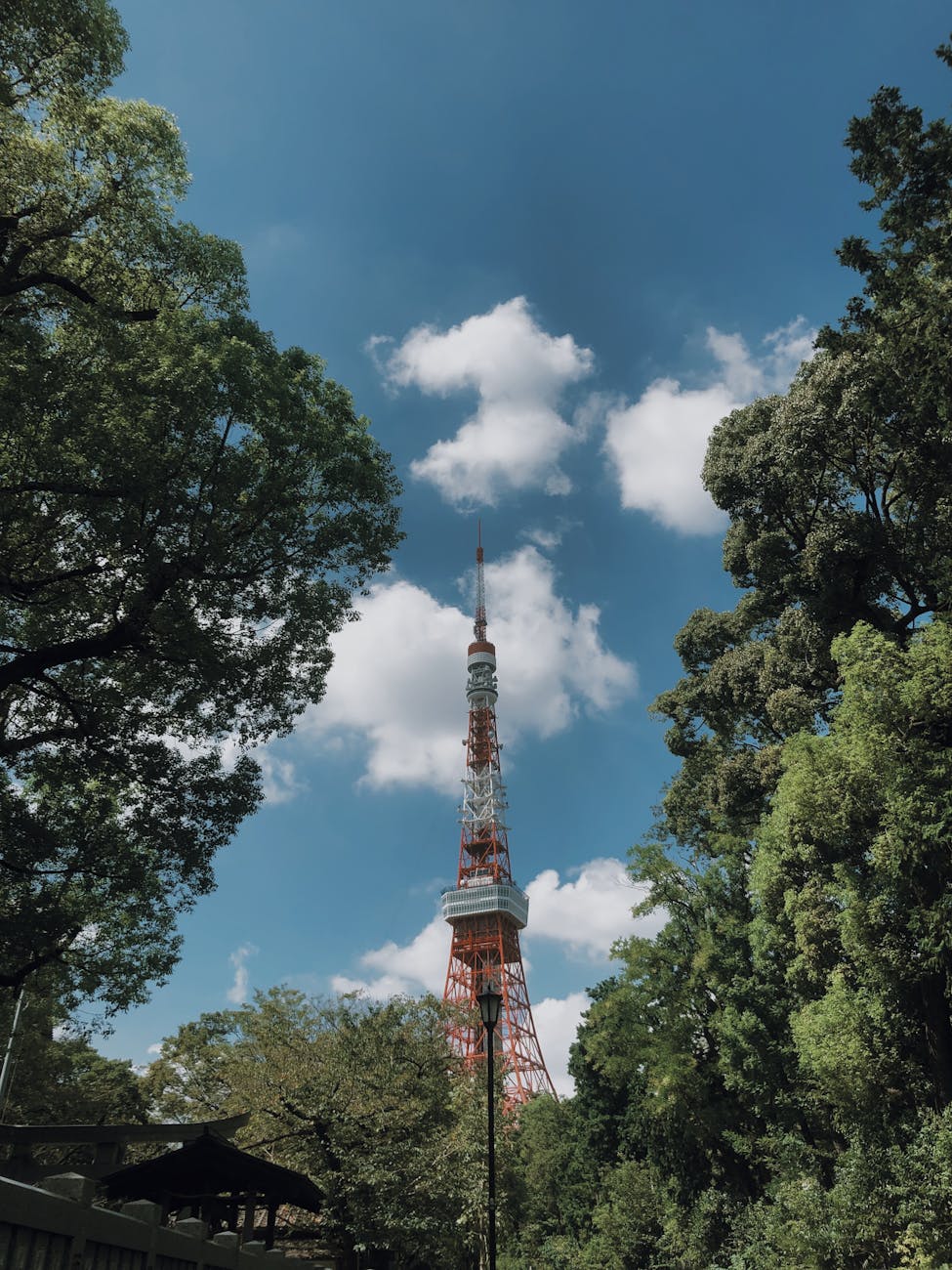 도쿄 타워 갤러리 이미지