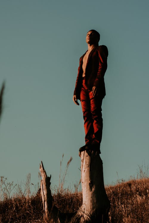 Free From below full body of slim African American male in red jacket and trousers standing on old dry stump in empty meadow under light blue cloudless sky in evening Stock Photo