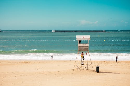 Personne Sur L'échelle De Beach Shore Guardhouse