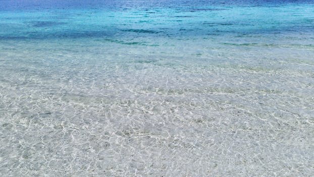 在热带海滩上，清澈的绿松石海水带来宁静之美，非常适合轻松度假