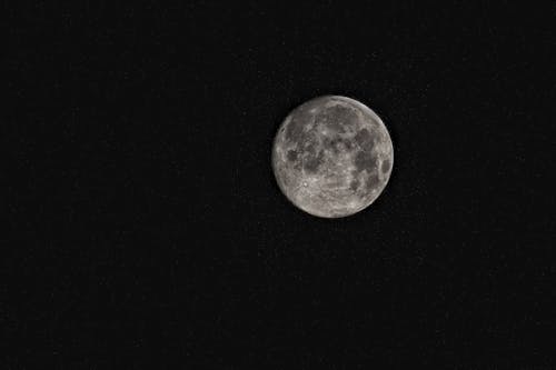 Kostenlos Mond Auf Fokus Foto Stock-Foto
