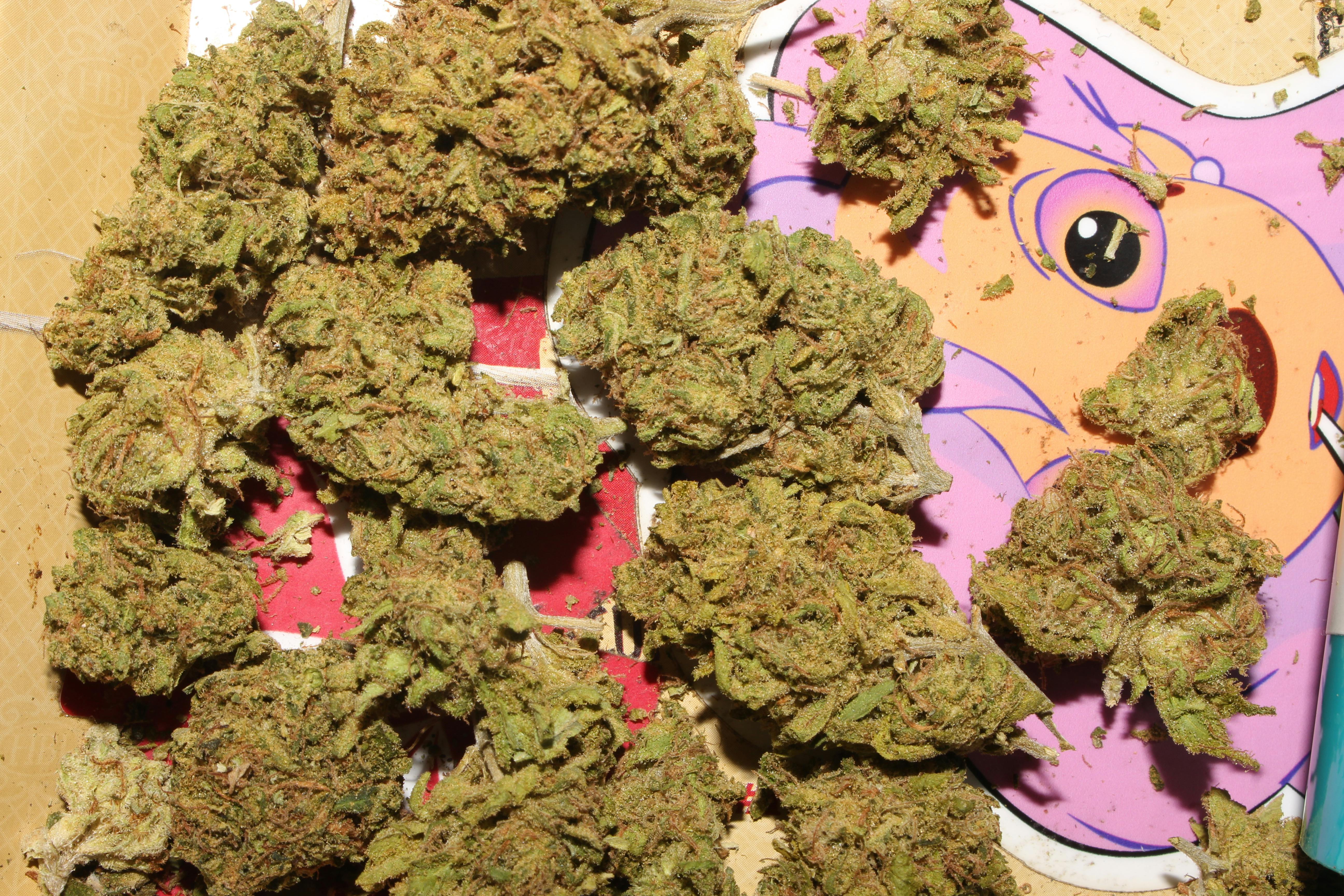 Free stock photo of 420, 710, cannabis