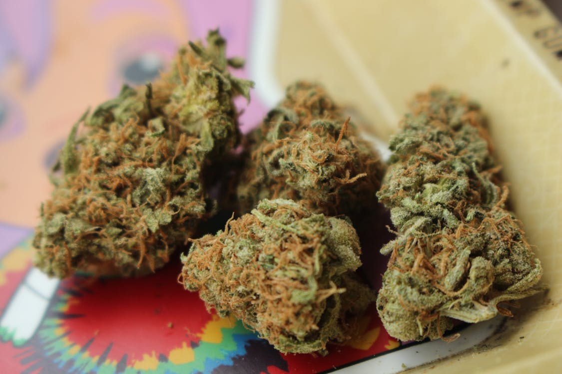 marihuana medyczna w Polsce