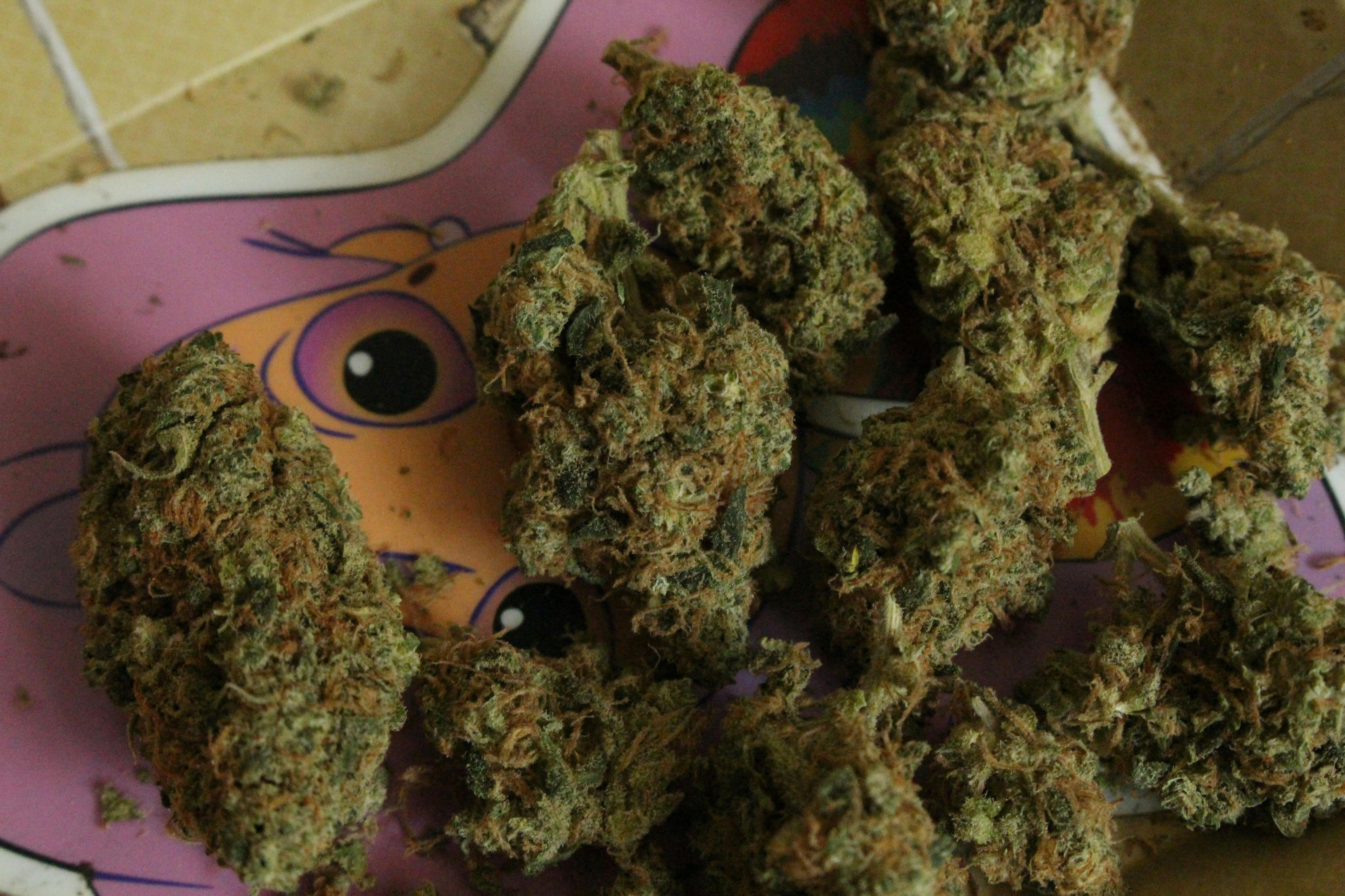 Free stock photo of 420, bud, cannabis