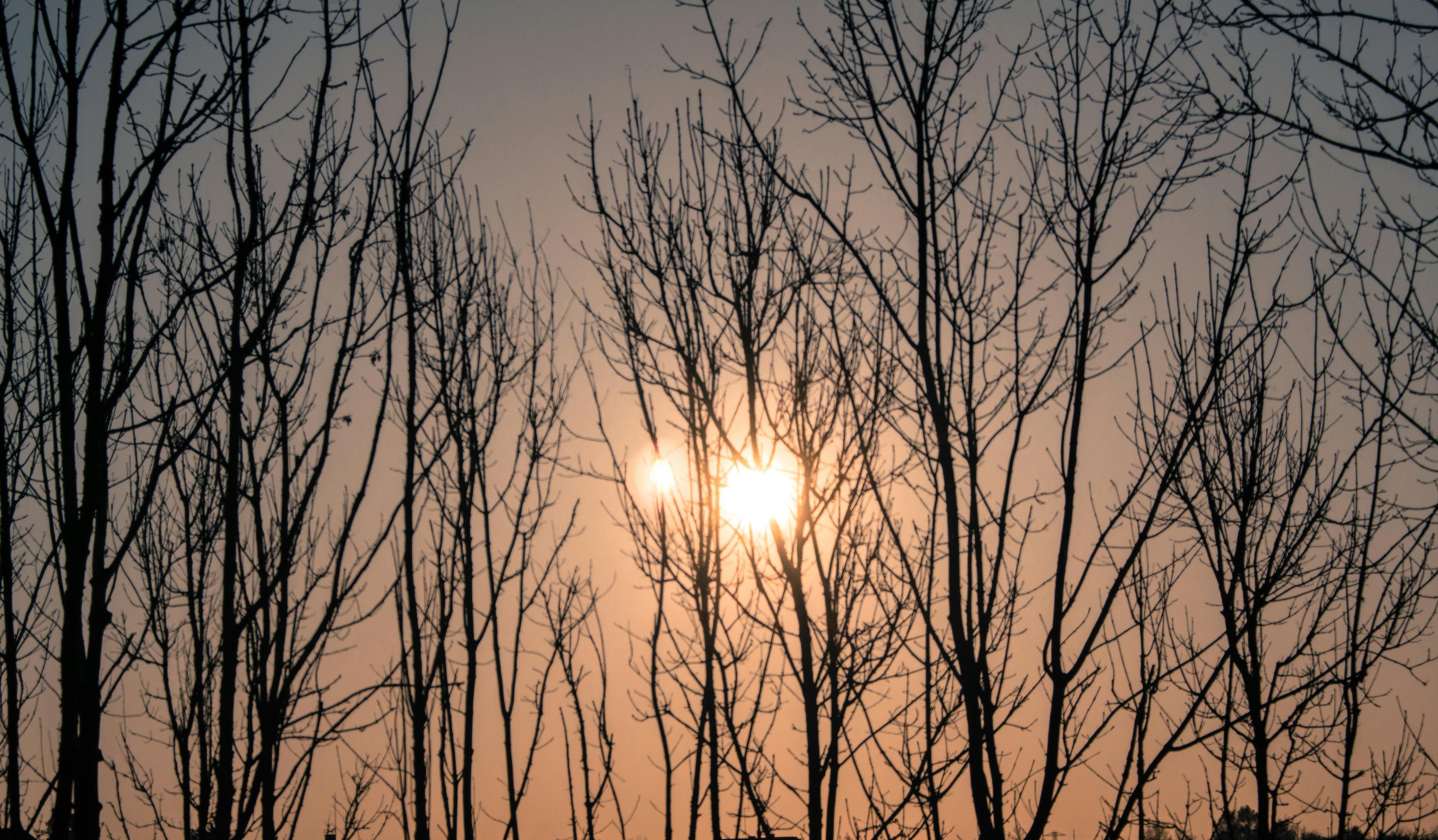 Free stock photo of beautiful, mother nature, mothernature