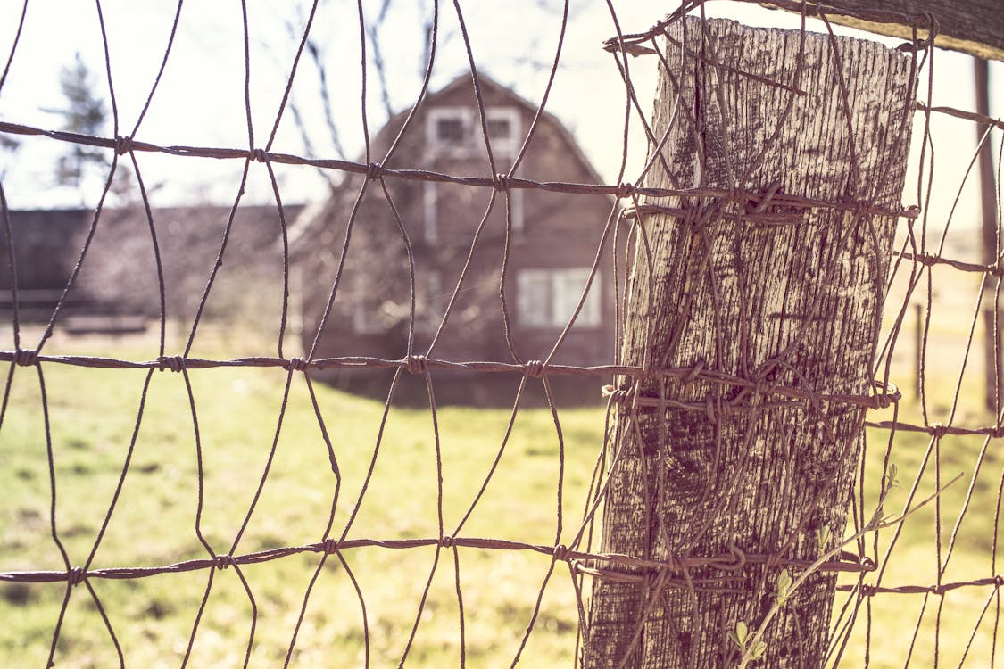 免费 围栏, 穀倉, 絲網 的 免费素材图片 素材图片