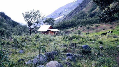 Foto stok gratis berkemah, cabana, montañas