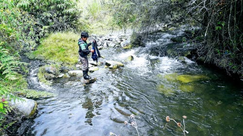 Foto stok gratis anak laki-laki, clima frío, montañas