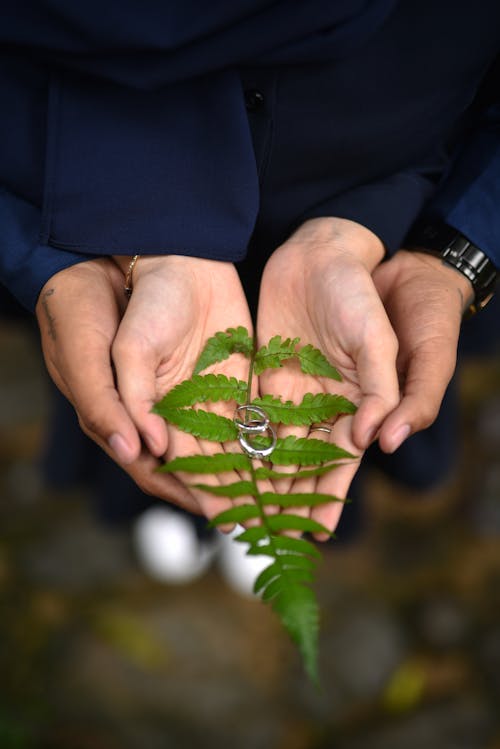 Free Green Leaf and a Pair of Ring on People's Hand Stock Photo