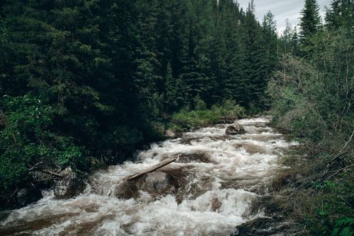 Free Spectacular scenery of mountain river with rocks flowing among green forest at daytime Stock Photo