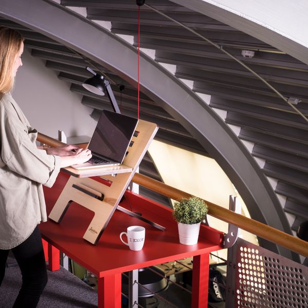 Rise Standing Desk Converter