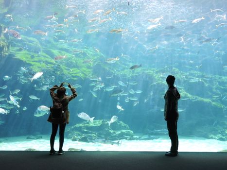 在大型水族馆里，两个人正观察着各种各样的鱼，光线照亮了整个场景