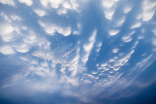 Beautiful Clouds in the Sky in Low Angle Shot