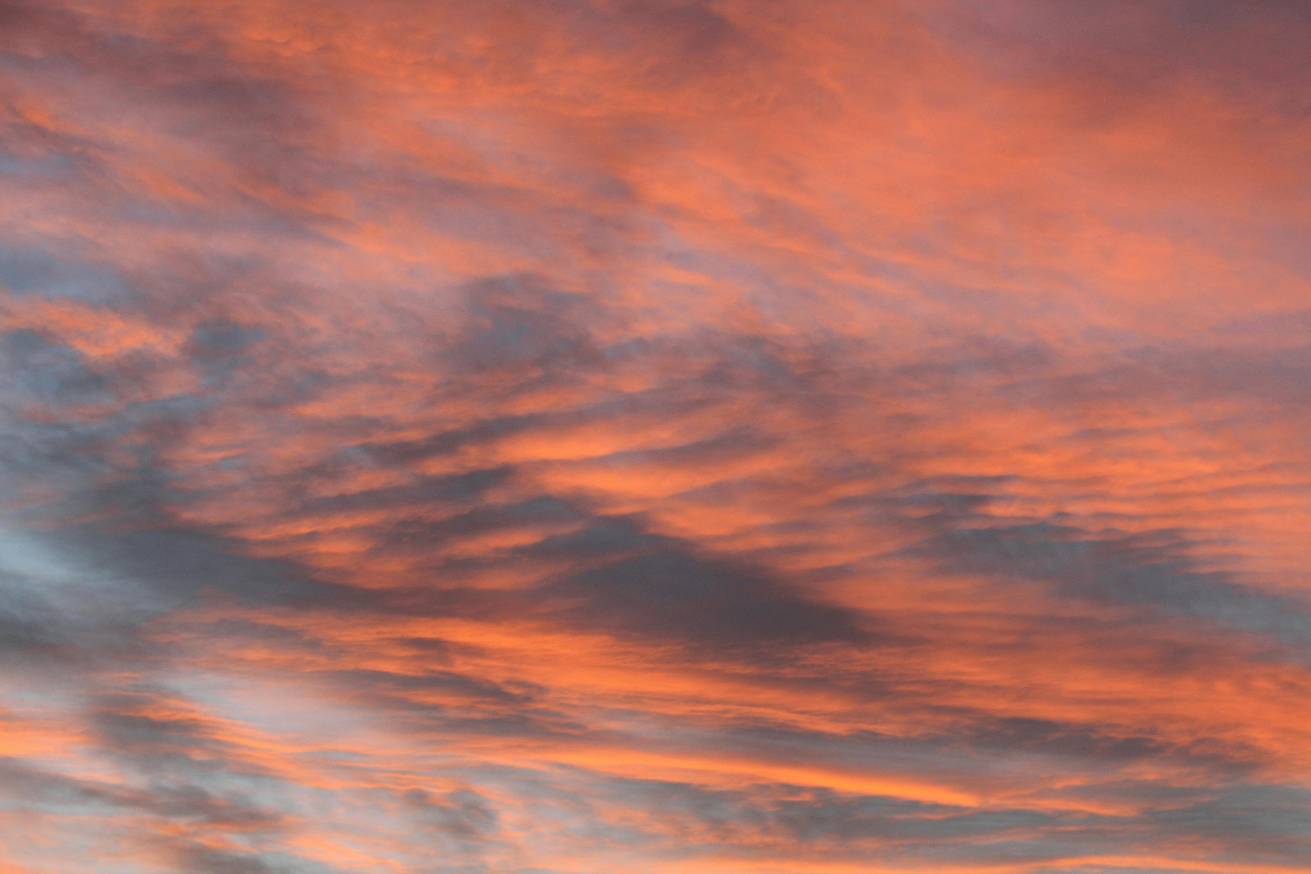 Free stock photo of pink sky, skyline, sunset