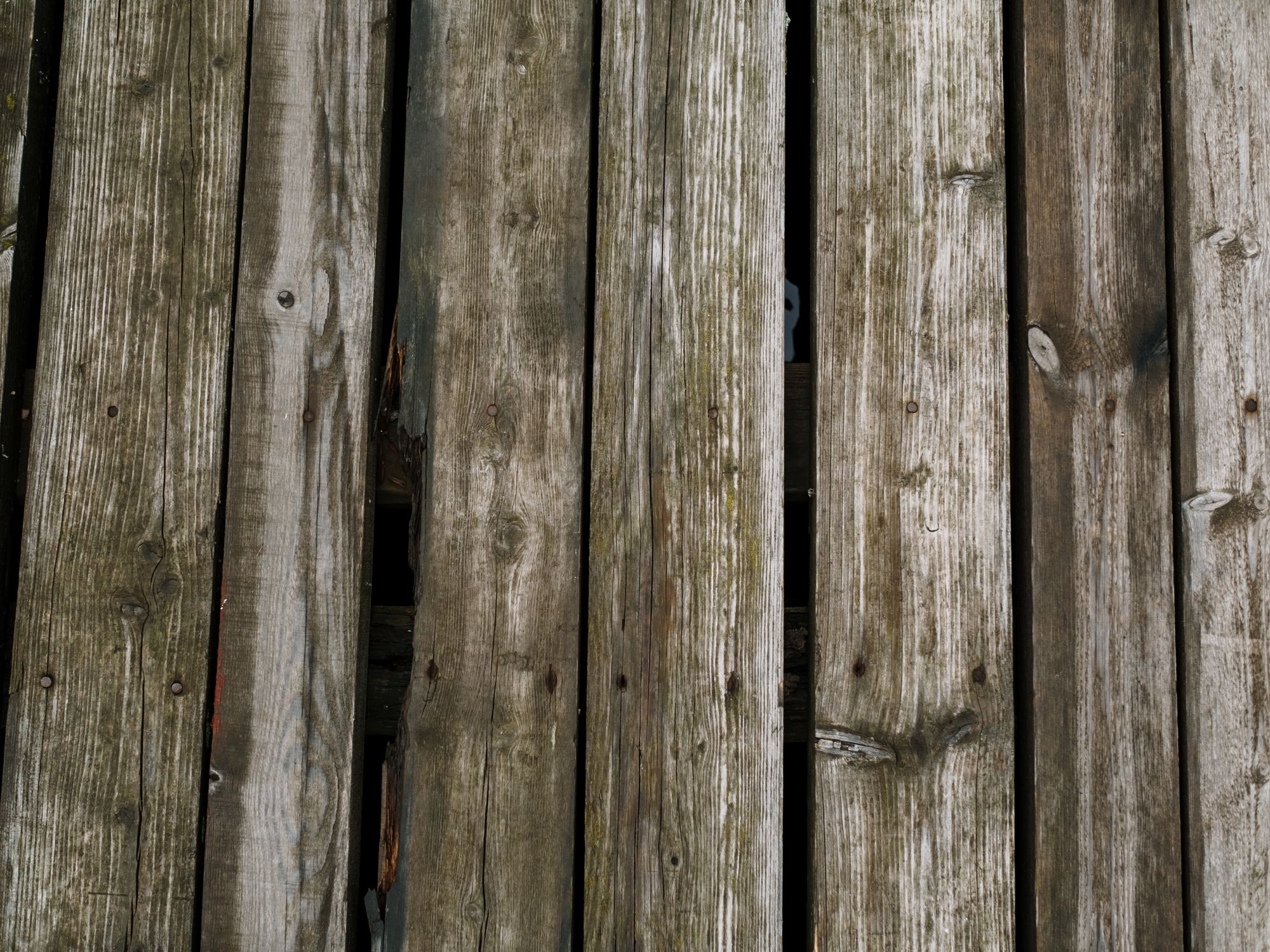 Fence and Decking Painting in St James's, Westminster — garden fence being painted with weatherproof wood finish