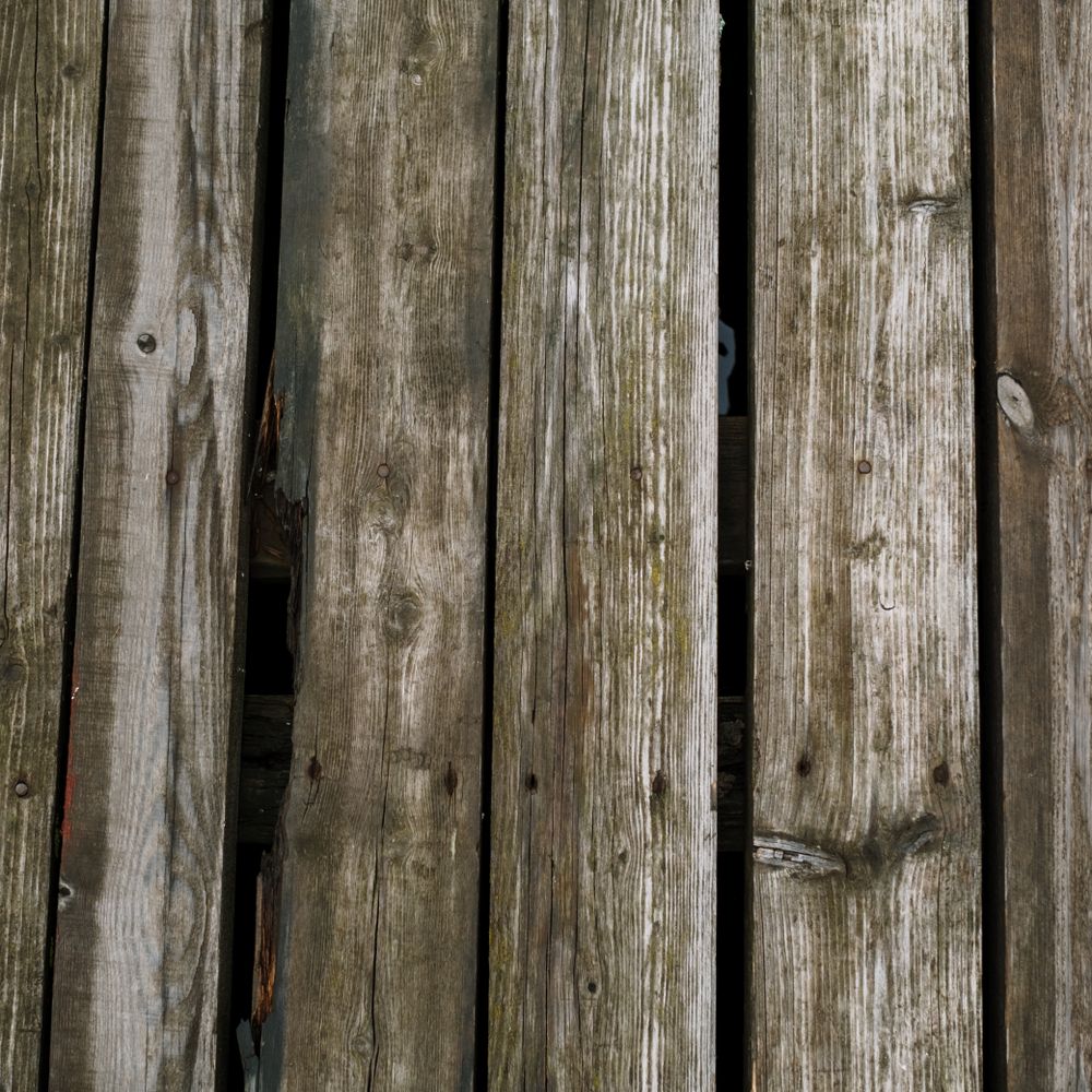 Fence and Decking Painting in Morden — careful masking before painting begins