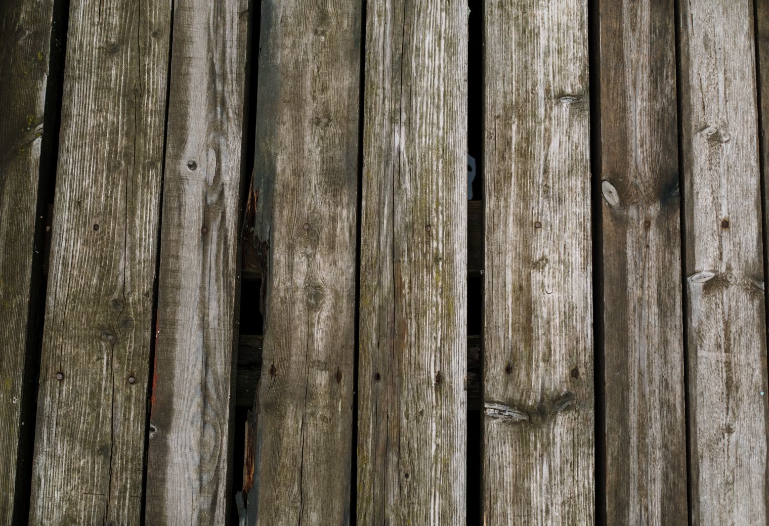 Fence and Decking Painting in Grove Park — a freshly painted, spotless finish
