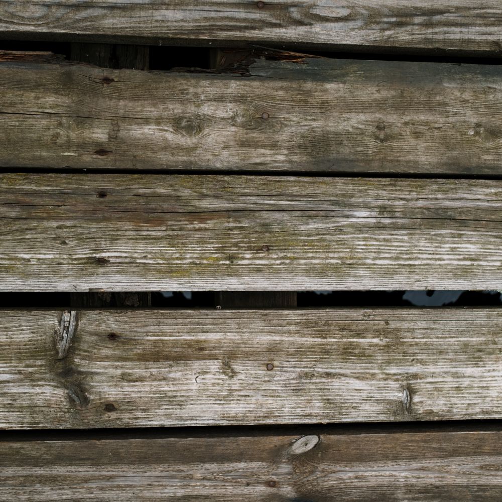 Fence and Decking Painting in Wapping — walls rolled to an even, flat finish