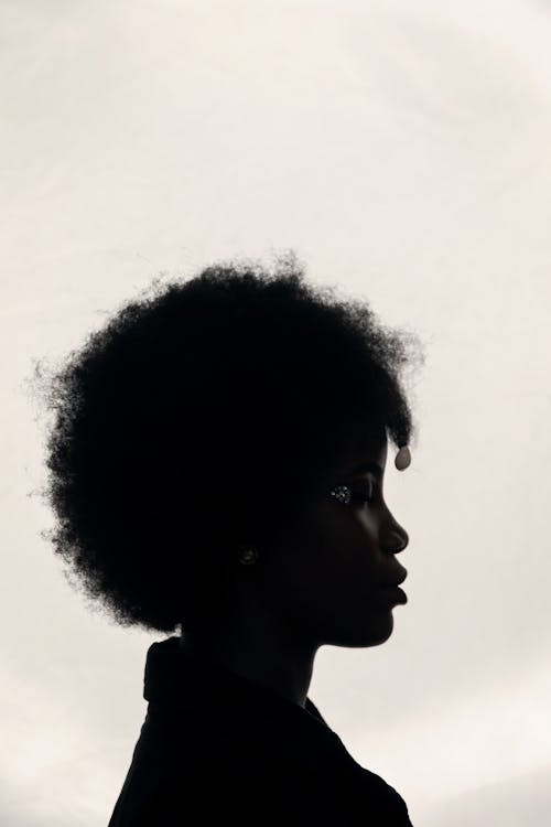 Základová fotografie zdarma na téma afro, afroameričanka, černoška