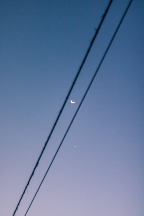 Bottom View of Sky with Electricity Wires and Moon