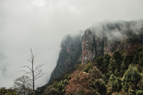 Free A scenic view of mist-covered cliffs surrounded by lush green forests, creating a mysterious atmosphere. Stock Photo