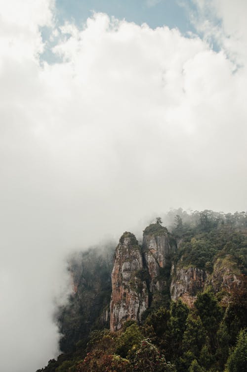 Trees on Rock Formations Under White Clouds