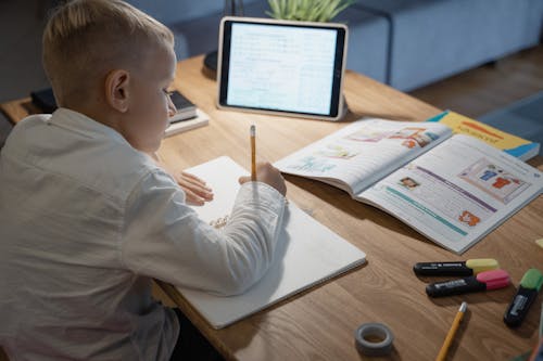 A Boy Doing Homework