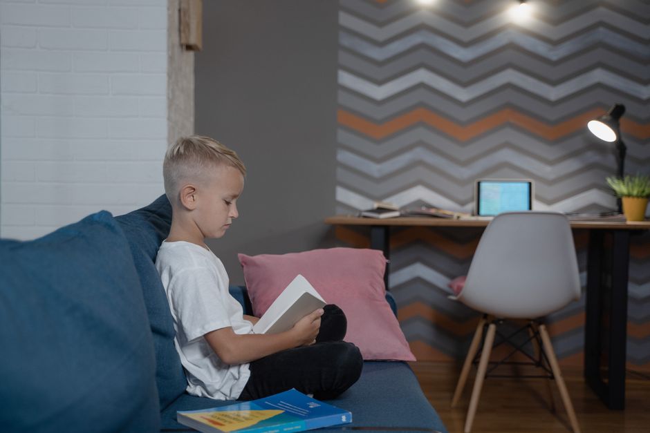 Photo by Tima Miroshnichenko on Pexels A young boy engrossed in reading a book on a sofa in a well-lit cozy room. - Photo by Tima Miroshnichenko on Pexels