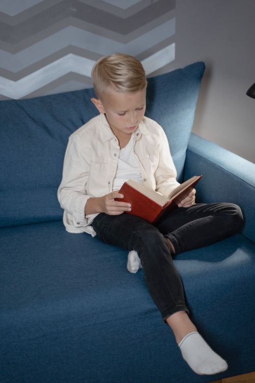 Free A young boy with blond hair reads a book on a blue sofa indoors, captured in a cozy setting. Stock Photo