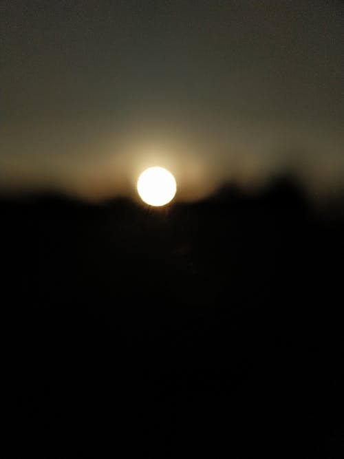 下午, 太陽, 日落 的 免费素材图片