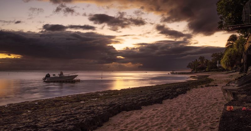 Île Maurice chikungunya : Conseils santé voyage 2026