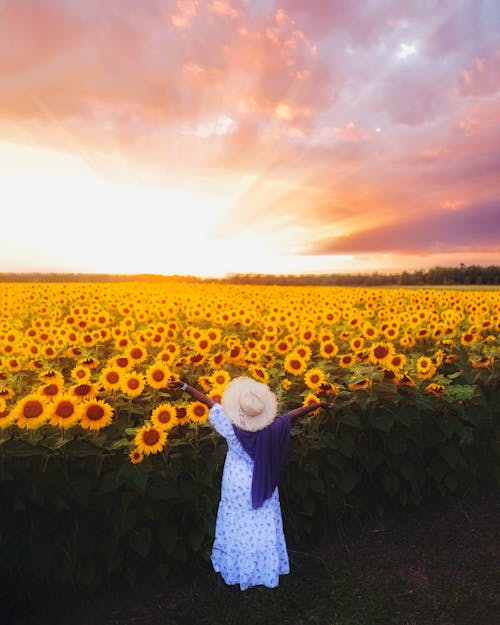 Free stock photo of beautiful sunset, minnesota, styling hijab