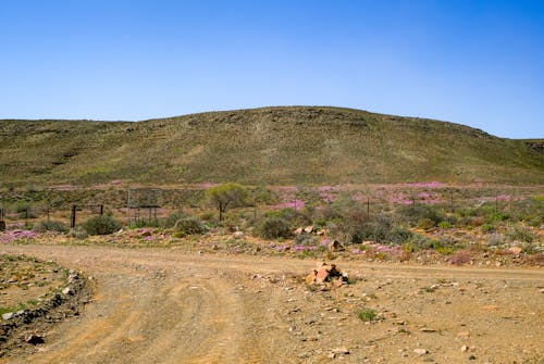 Kostenloses Stock Foto zu außerorts, blauer himmel, feldweg