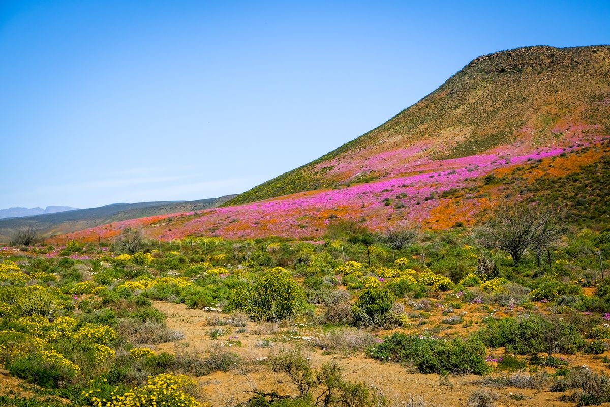Robberg Nature Reserve