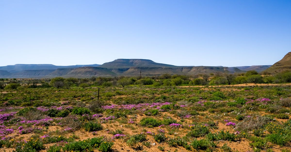 karoo telescope