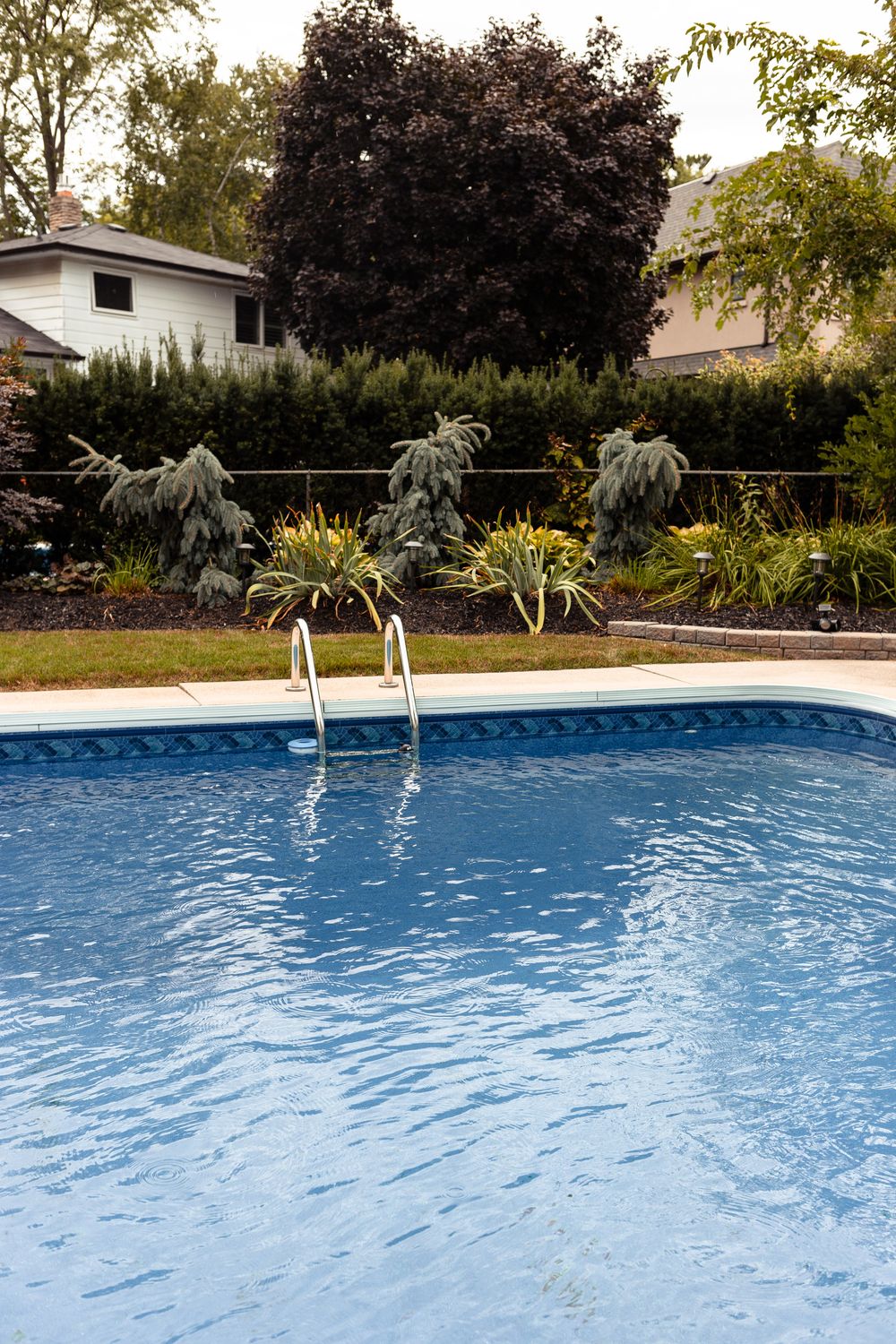 Freeform gunite pool with crystal clear water and lush landscaping