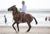 Man in White Long Sleeve Shirt Riding Brown Horse