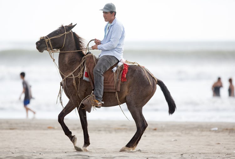 Man Riding A Horse On A Beach 