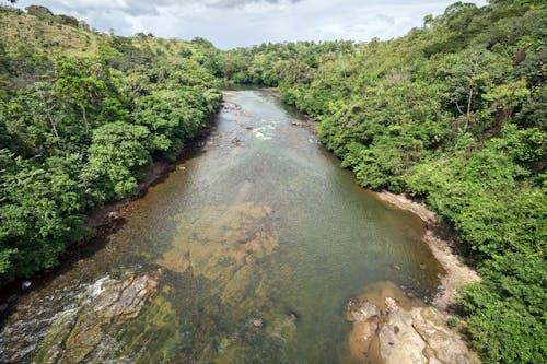 Gratis lagerfoto af flod, nicaragua, 리오 ・ 라마