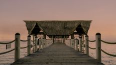 Symmetrical View of a Jetty with a Roof