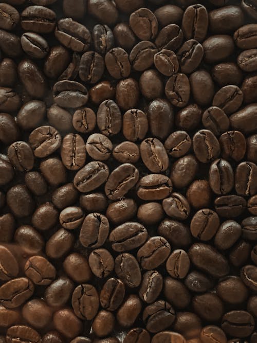 Free Coffee Beans Stock Photo